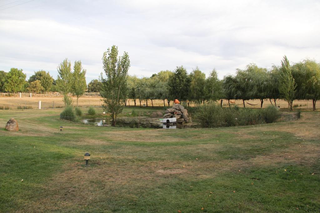 Bed and Breakfast O Pelicano Alfaiates Exterior foto